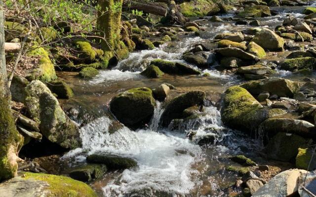 Little Mountain Hideaway