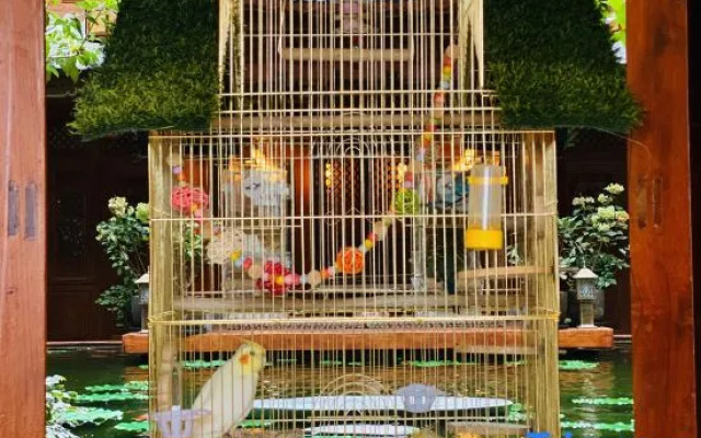 Spirited Silky Inn