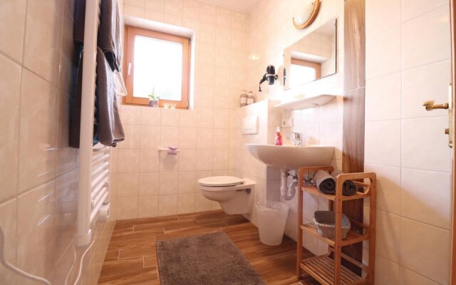 Beautiful Apartment in Alpbach With 1 Bedrooms and Wifi