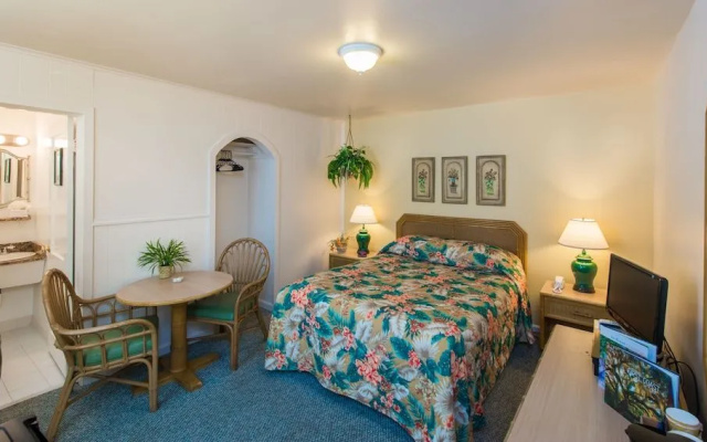 The Cozy Inn