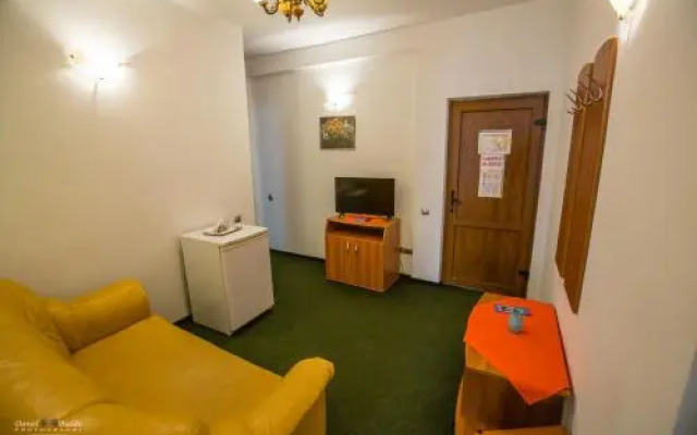 Pensiunea Vila Europa