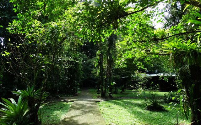 La Selva Biological Station