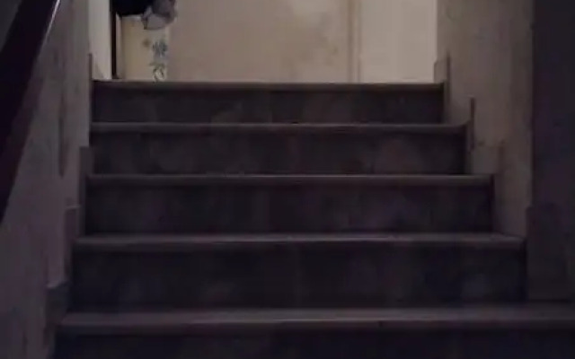 House of Artists-aquilotto