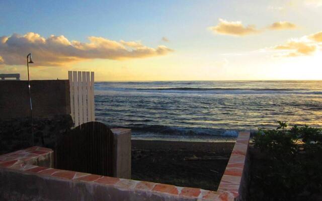 Tahiti Surf Beach Paradise