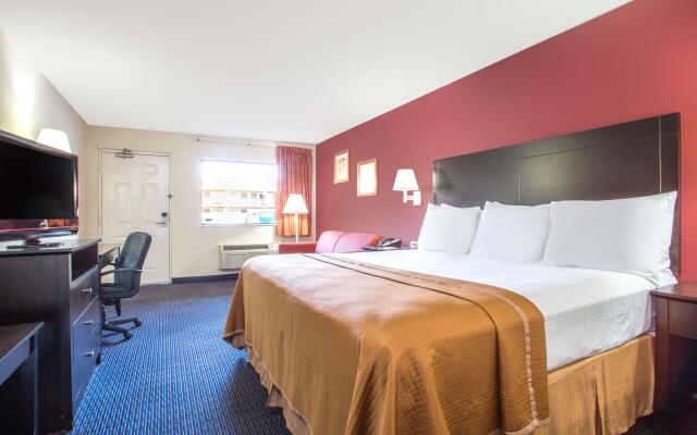 Hotel South Tampa & Suites