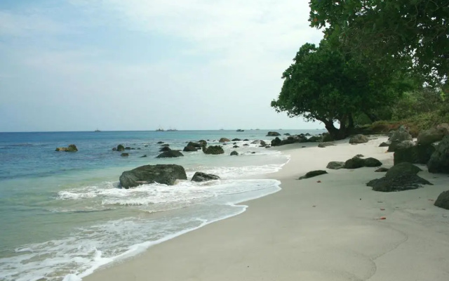 Green Coral Tanjung Lesung