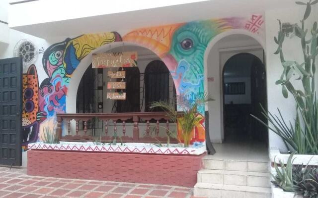 Casa Tropicalia - Hostel