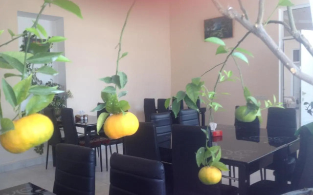 Hotel Dina