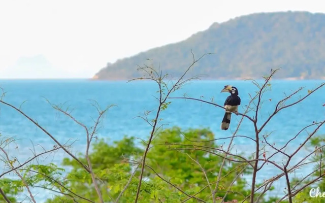 Koh Phaluai Eco Resort