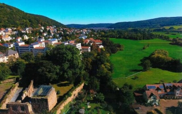 Burg Muhle