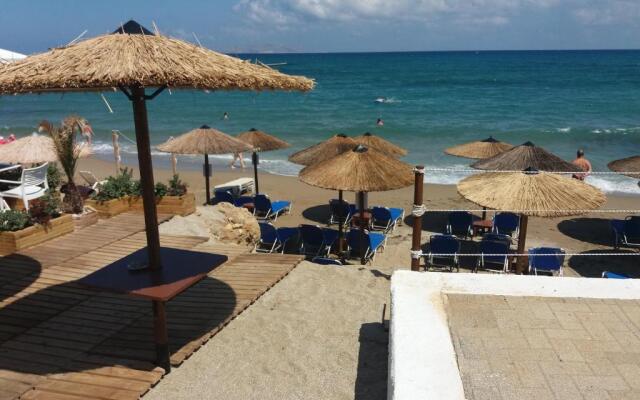 Diogenis Blue Palace