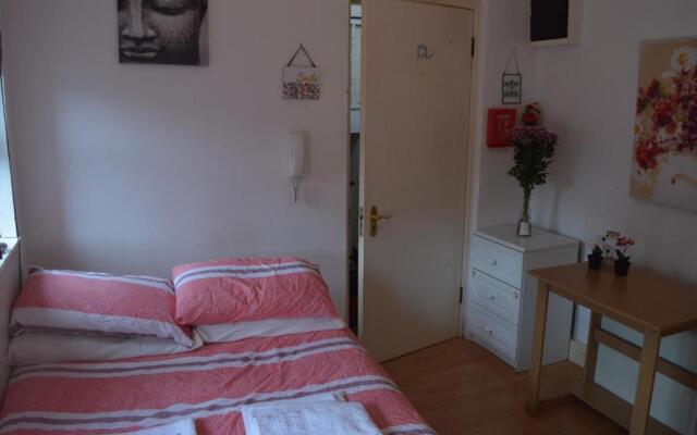 Super Central Dublin Apartments