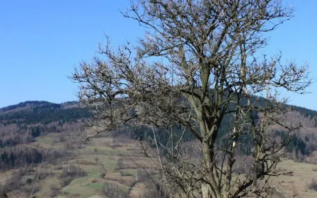 Domek Góralski Hyrb