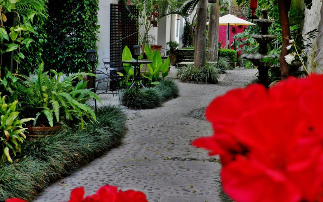 Hotel Rosa Morada