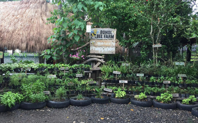 Bohol Bee Farm