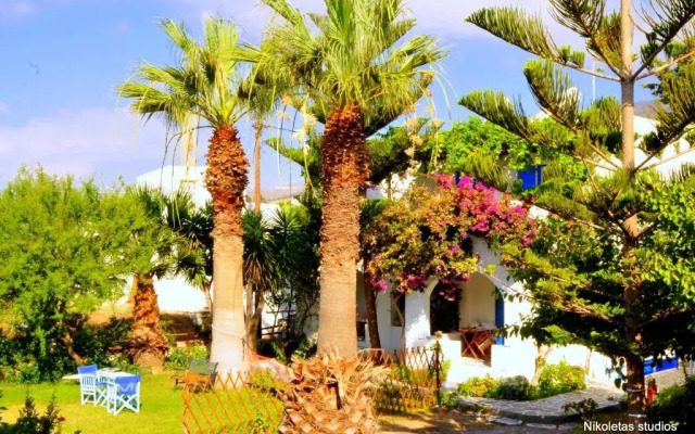 Nikoleta's Studios
