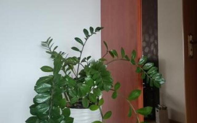 Pomaranczowa Apartment