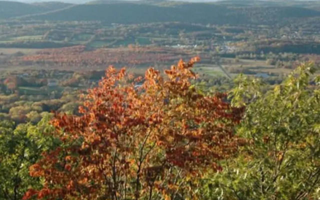 Alpine Haus Bed & Breakfast Inn