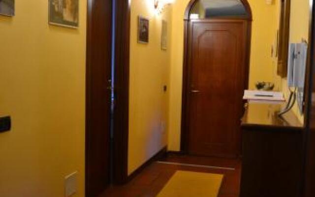 B&B Orio BGY