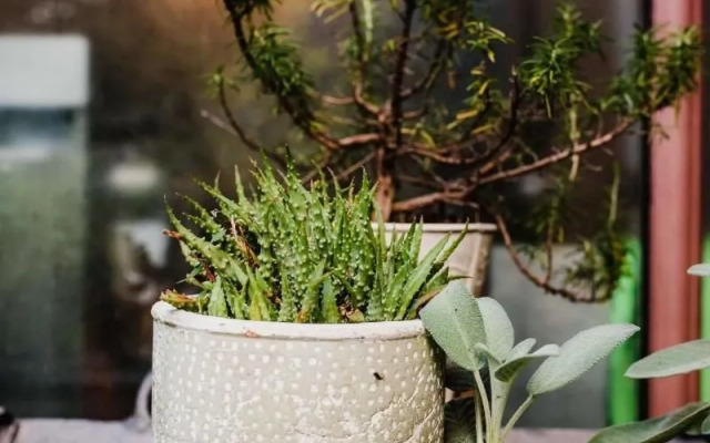 Villa Regina Teodolinda