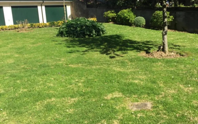 Getxo, parking, wifi, metro
