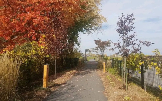 Cozy Sweet Studio #4, Only 10 min to D.T. Ottawa