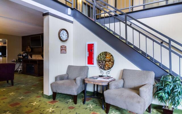 Quality Inn & Suites Mayo Clinic Area