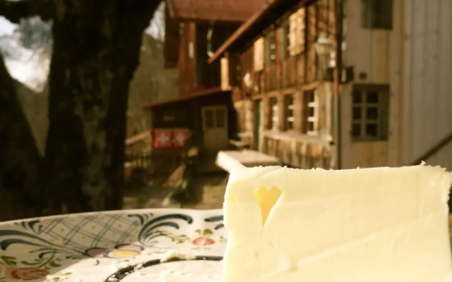 Heidi Chalet Alps - Unique Experience - Authentic Part