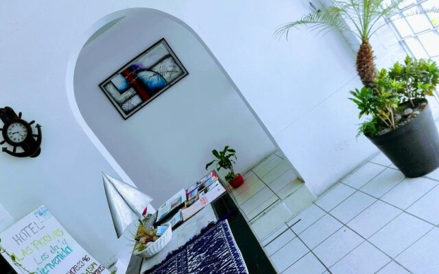 Hotel Blue Home Vallarta