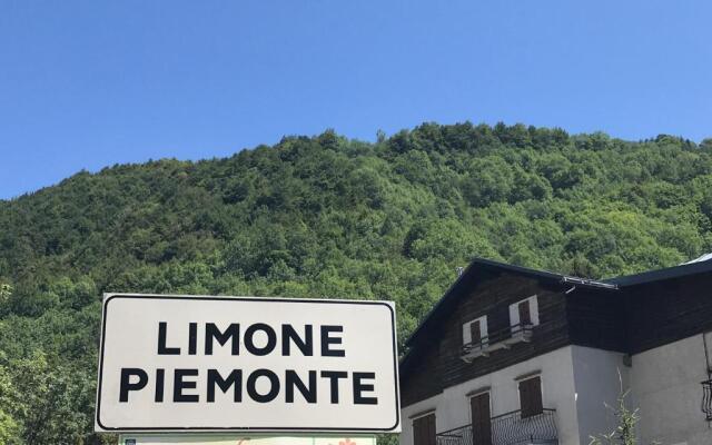 Little Limone