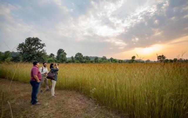 Tree House Hideway Bandhavgarh