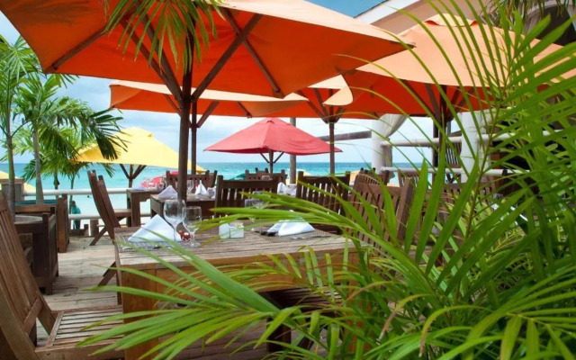 Negril Palms