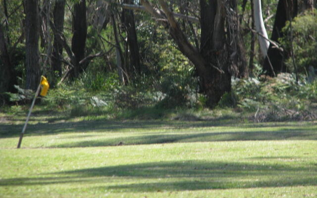 Woodbine Park Eco Cabins