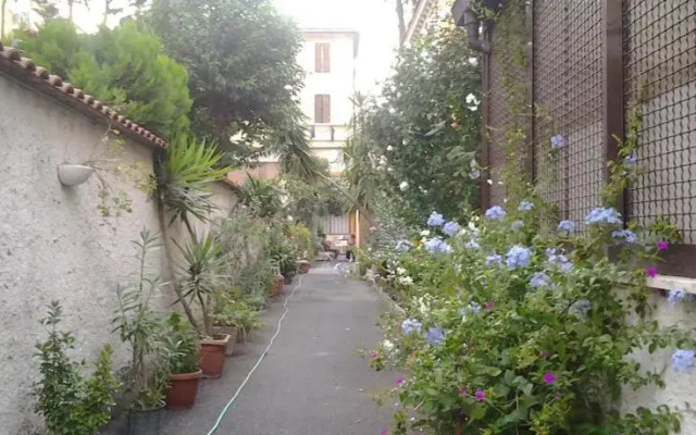 Carlottas House