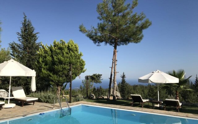 Olympos Mountain Lodge