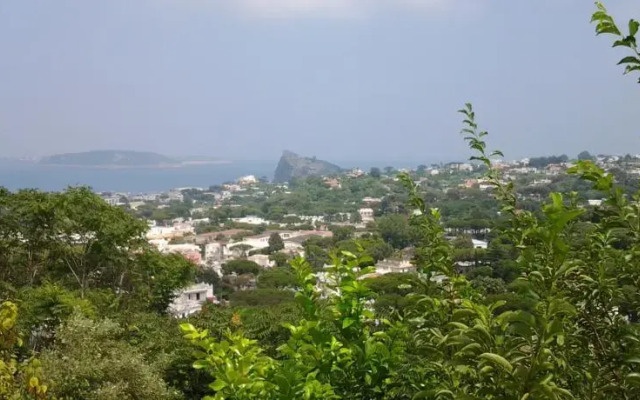 Villa Cristoforo