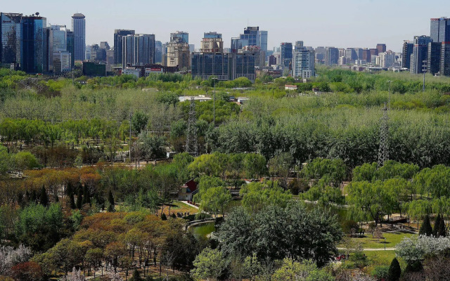 Rosedale Hotel and Suite Beijing