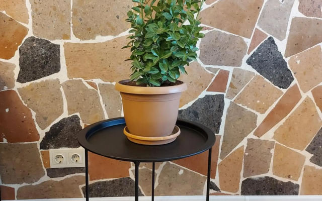 Loft Comfort Yerevan