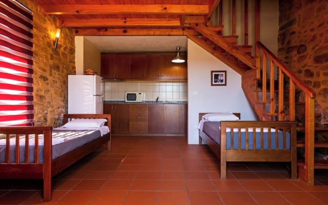 Raízes da Vinha - by Matias Nature