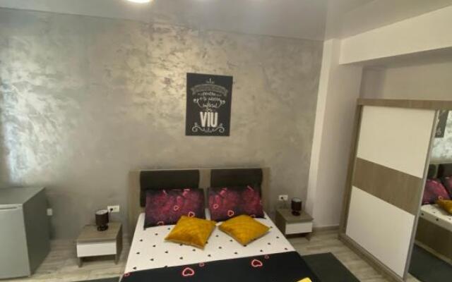 Garsoniera King Tip Studio Resort Building Stefan