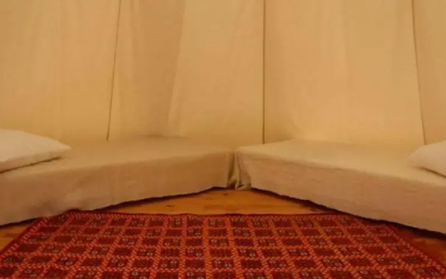 Tipis Des Oliviers
