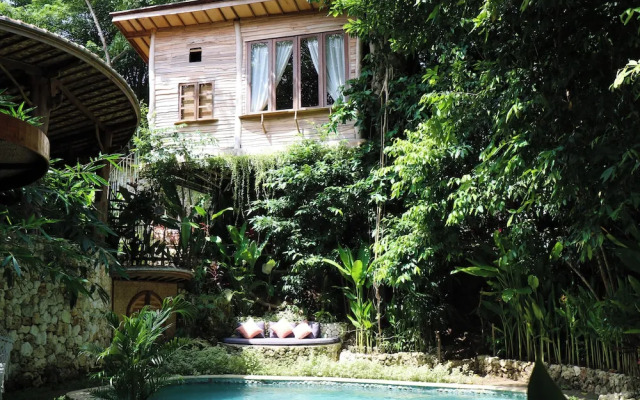 Roots Tree House