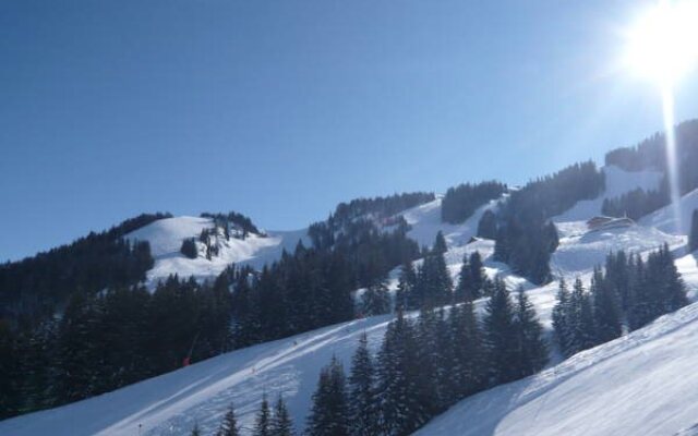 Haus Berge Appartements