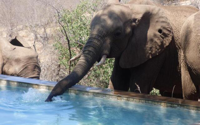 Mbizi Bush Lodge
