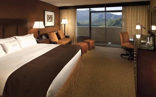 The Park Vista - a DoubleTree by Hilton Hotel - Gatlinburg