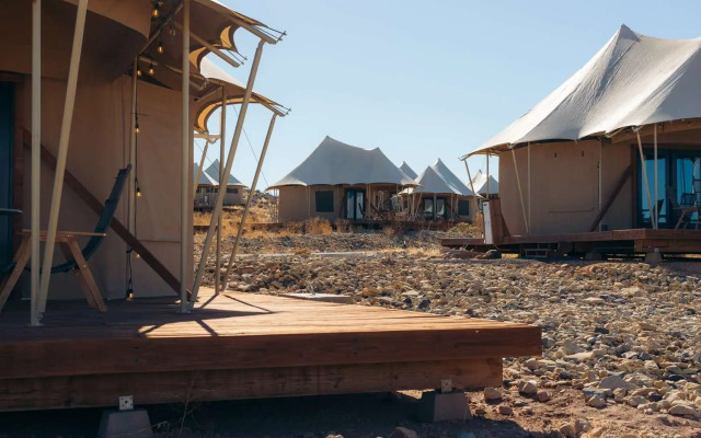 Zion Wildflower, BW Premier Collection