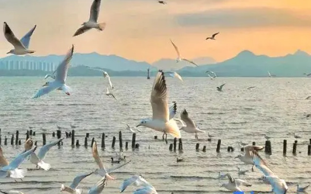 Yishang Hotel (Haiya Binfencheng Lingzhi Subway Station)