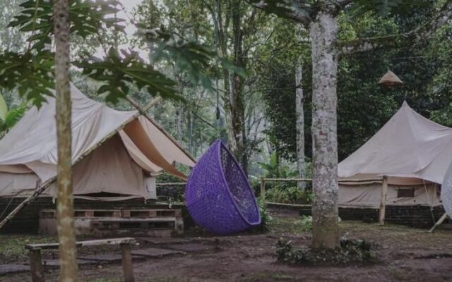 Damarwidi Glamping - Campsite