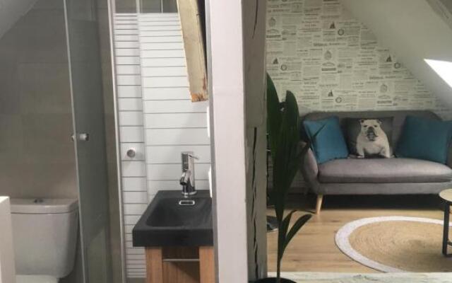 Appartements atypiques centre historique