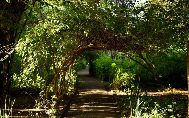 Moivaro Coffee Plantation Lodge